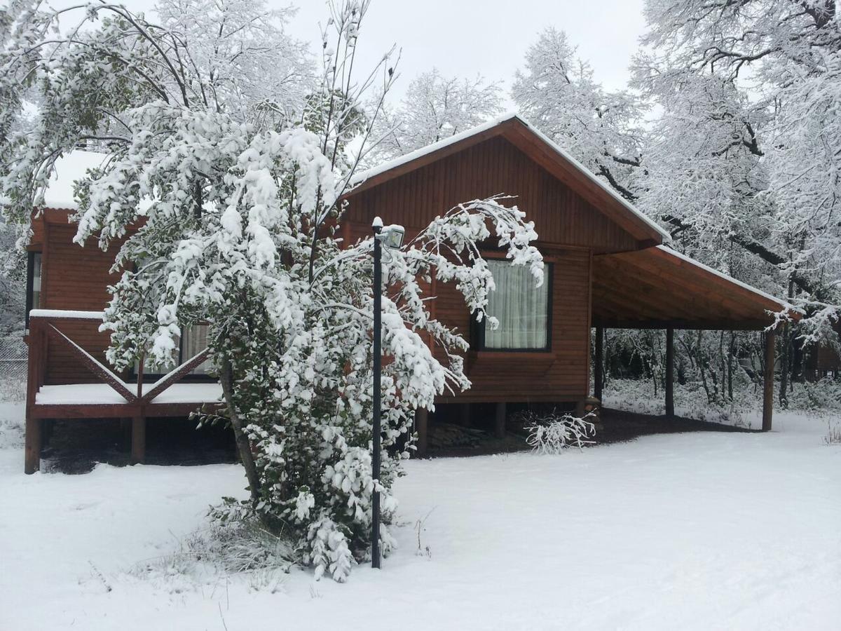 Cabanas Roble Quemado Las Trancas Bagian luar foto