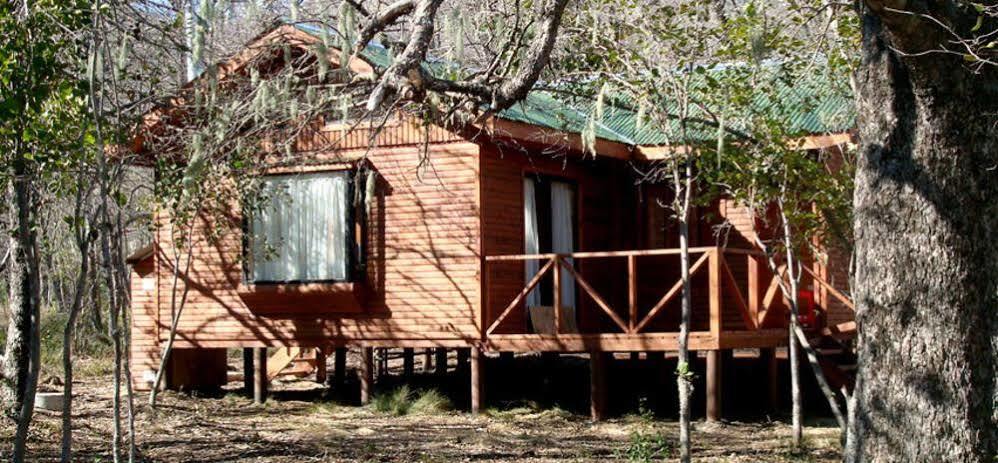 Cabanas Roble Quemado Las Trancas Bagian luar foto