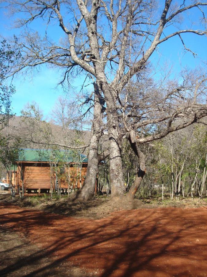 Cabanas Roble Quemado Las Trancas Ruang foto